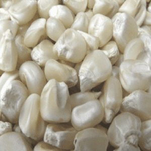 dry-corn-1kg